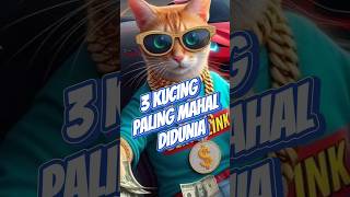 3 Kucing paling mahal di dunia facts education [upl. by Switzer760]