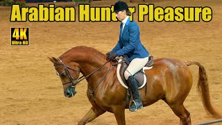 Arabian Hunter Pleasure Jr Horse Class at Arabian National Breeder Finals [upl. by Lirrehs]