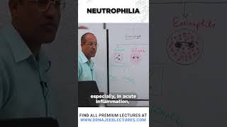 Neutrophilia drnajeeb shortvideo medicalstudent [upl. by Kym508]