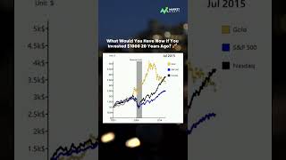 Gold vs Stocks over 20 Years 📈 stocks gold chart data dataisbeautiful inflation shorts [upl. by Fulmis]