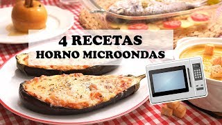 4 Recetas muy Fáciles y Rápidas para el Horno Microondas [upl. by Jansen938]