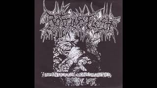 ROTTING FLESH Infanticious Monstrosities [upl. by Assyral]