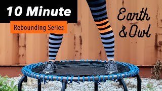 10 Minute Rebounding Workout for Beginners and Seniors YOU CHOOSE the Intensity Level [upl. by Yoshi]