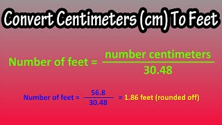 How To Convert Centimeters cm To Feet Explained  Formula For Centimeters To Feet [upl. by Brody959]