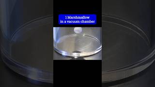 A Marshmallow in a Vacuum Chamber [upl. by Press]