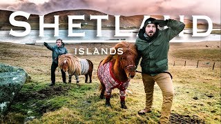 The Shetland Islands  The Unbelievable Hidden Treasure of Scotland [upl. by Julieta989]