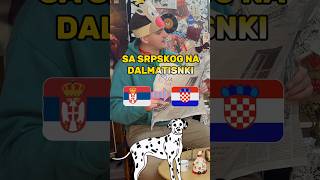 PREVOD SA SRPSKOG NA DALMATINSKI  🇷🇸🇭🇷 viral funny shorts fyp love podcast balkan fun [upl. by Ahseenyt]