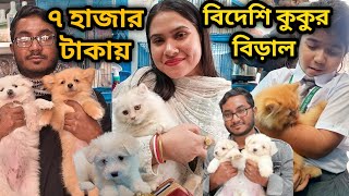 Lhasa ApsoSpitz dogPomeranianPersian catKatabon animal market in bangladesh Dog amp price in 2024 [upl. by Lledor718]