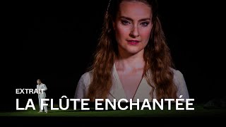 EXTRAIT LA FLÛTE ENCHANTÉE de Mozart  quotDies Bildnisquot Pavol Breslik [upl. by Genovera]