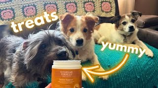 Veterinary Formula Smart Vitality Hip amp Joint Supplement for Senior Dogs Product Review [upl. by Carmencita]