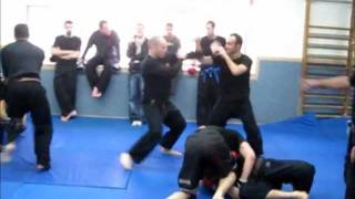 Randori  Bujinkan Ninjutsu Israel Miky Rosner [upl. by Aneel]