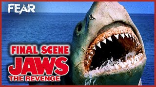 The Story of Jaws The Revenge 1987  Review amp Retrospective [upl. by Shaughn]