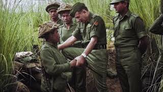 Panic Exploded as Soldiers Desperately Tried to Get a Chopper out of Saigon ep 39 [upl. by Nnuahs]