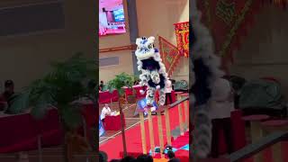 Acrobatic Lion Dance [upl. by Eenehs]