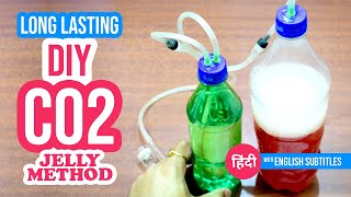 Long Lasting DIY CO2 System for Your Planted Aquarium  Jelly Method 🍮 [upl. by Brendon871]