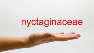 How to Pronounce nyctaginaceae  American English [upl. by Farwell]