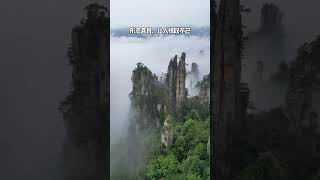 10月张家界旅游，来湘西天子山：邂逅这震撼心灵的自然奇景旅游 旅行 travel traveltips 旅遊 中国旅游 张家界旅游 [upl. by Pittel]