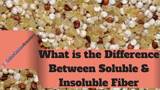 Whats the Difference Between Soluble and Insoluble Fiber [upl. by Vizza]