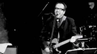 Elvis Costello Live  Welcome to the Working Week [upl. by Esinel859]