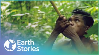 How Indigenous Tribes Live In Malaysia  Man Hunt  Earth Stories [upl. by Olsewski]