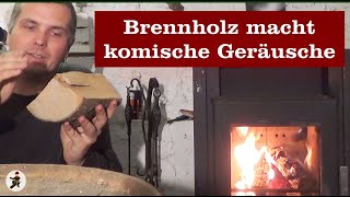 Brennholz macht komische Geräusche [upl. by Ynned]