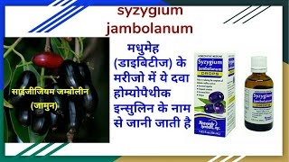 सिजीजियम जम्बोलीनम syzijium jambolanum homoeopathic Medicine  शुगर मधुमेह Diabetes में रामबाण [upl. by Ailliw]