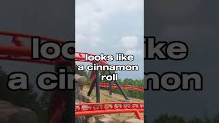 Dollywood coasters in a nutshell shorts rollercoaster themepark dollywood viral trending fyp [upl. by Nosila]