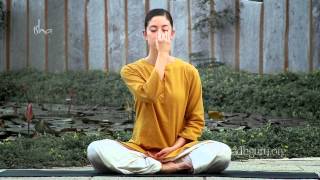 Learn Free Yoga Invest 5 minutes for WellBeing [upl. by Vachell]