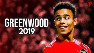 Mason Greenwood 201920 ● Rising Star  Skills amp Goals  HD [upl. by Sears]