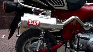 Honda Dax Yoshimura [upl. by Ennaul870]