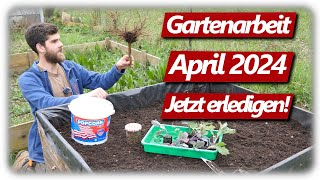 Gartenarbeit April  Erdbeeren amp Kohlrabi Lavendelschnitt Gemüsegarten mit Hochbeeten [upl. by Elmo]