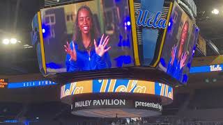 UCLA vs Cal Gymnastics 2024 Vlog [upl. by Yanehs]