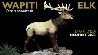 Safari Ltd ® Elk  Wapiti  Cervus canadensis  Wild Wildlife Review [upl. by Anaerol148]