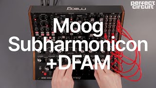 Moog DFAM  Subharmonicon Jam [upl. by Ennasor]