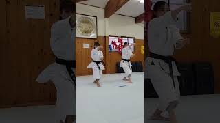 rika usami martialarts [upl. by Poore464]