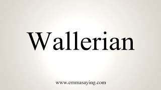 How To Pronounce Wallerian [upl. by Porty]