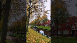 Autumn Vibe in Netherlands Almere 🍁 nl netherlands autumn trending shorts almere [upl. by Nolrac965]