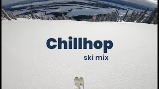 Chillhop Ski Mix  Relaxing Backcountry Powder Ski POV Footage  Chill Beats to Quarantine to [upl. by Isadore]