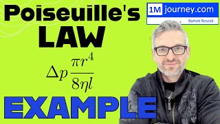 Poiseuilles Law Example [upl. by Gloria233]