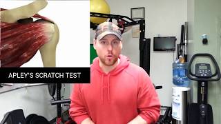 Rotator Cuff Stretches  Apleys Scratch Test  TIGHT INTERNAL OR EXTERNAL ROTATORS [upl. by Prussian75]