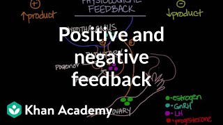 Physiological concept of positive and negative feedback  Behavior  MCAT  Khan Academy [upl. by Larrisa736]