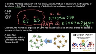 Nonrandom mating 2 F calculations [upl. by Nuajed52]