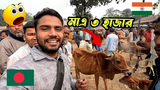 ভারত বাংলাদেশের গরুর দামের এতো পার্থক্য Cow Market India [upl. by Idnib]