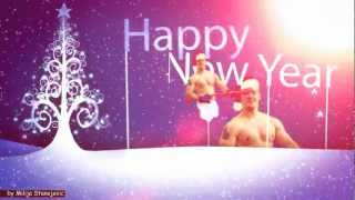 SRECNA NOVA 2013 GODINA  HAPPY NEW YEAR [upl. by Eixid]