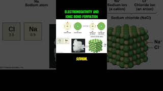 Why does Salt NaCL form with sodium and chloride Hint Electronegativity [upl. by Purse403]