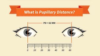 How to Measure Your Pupillary Distance PD by EyeGlassesOnlineinfo and Zenni Optical [upl. by Oilasor]