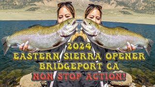 EPIC NEW 2024 BIG TROUT amp WIDE OPEN FISHING  Eastern Sierra Fishing Opener  Bridgeport CA [upl. by Aiset]