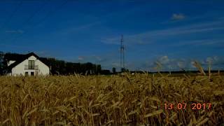 TRZEBIATÓW  JAROMIN  ścieżka pieszo  rowerowa 2000m  ławki  spacer  biegi  relaks13072017 [upl. by Okajima]