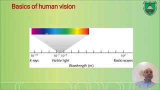 Visual transduction 2024 Part 1 The Mechanism [upl. by Ynneh]