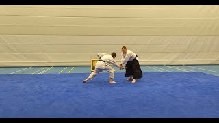 Aikido  Kotegaeshi vs TantoYokomenuchi [upl. by Erlinna]